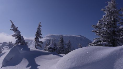 Aufstieg zum Hundstein Gipfel - Traumhafte Skitour