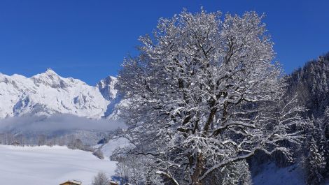 Region Hochkoenig - Geheimtipp zum Freeriden